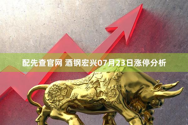 配先查官網 酒鋼宏興07月23日漲停分析