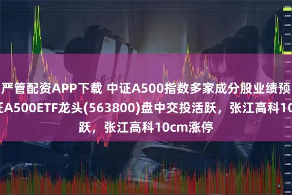 嚴管配資APP下載 中證A500指數多家成分股業績預喜，中證A500ETF龍頭(563800)盤中交投活躍，張江高科10cm漲停